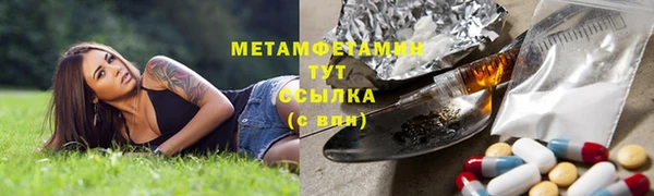 крисы Баксан