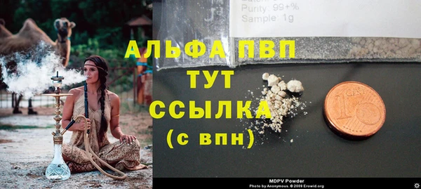 крисы Баксан